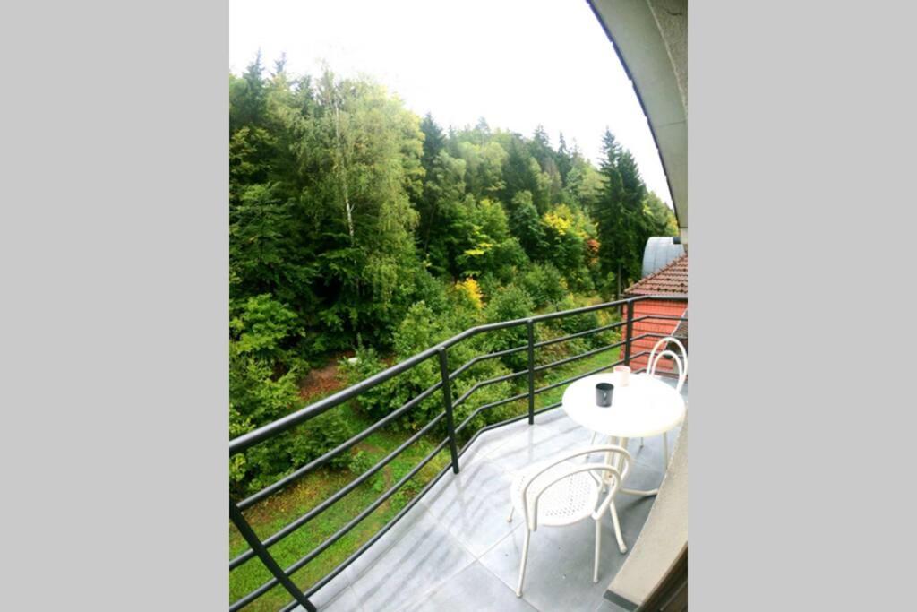 The Mountain Loft Klinovec - With Infrasauna Jachymov Luaran gambar