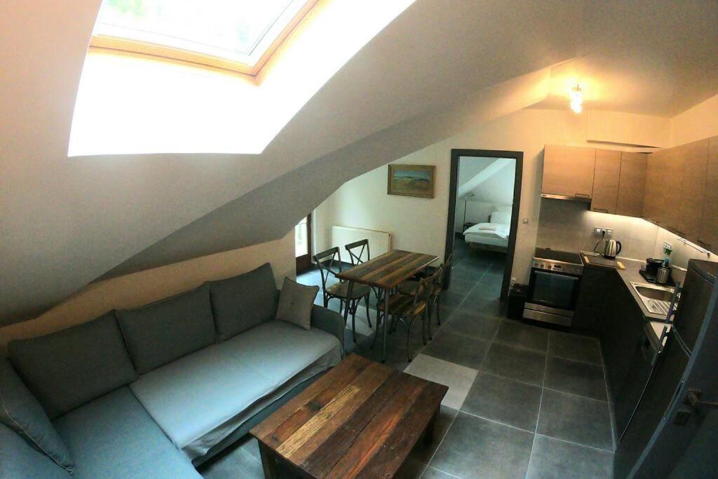 The Mountain Loft Klinovec - With Infrasauna Jachymov Luaran gambar