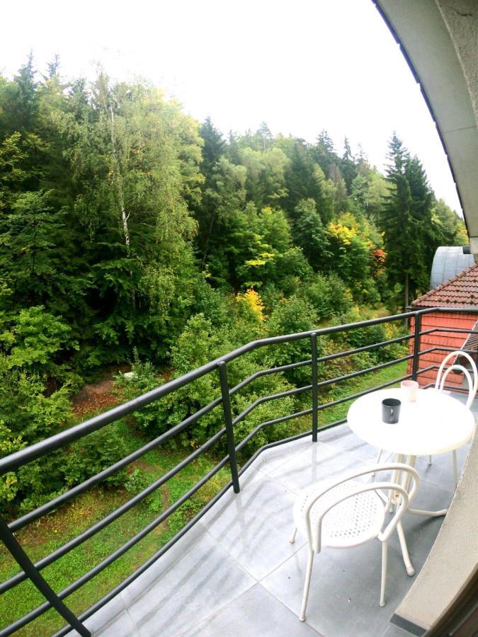 The Mountain Loft Klinovec - With Infrasauna Jachymov Luaran gambar
